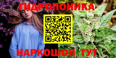 бошки Обь
