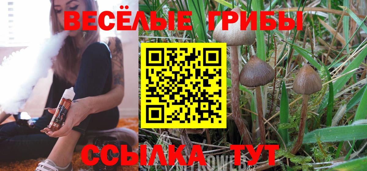 Галлюциногенные грибы мицелий Ялуторовск