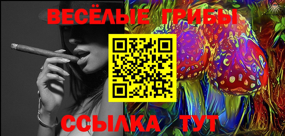 магазин продажи наркотиков  Вход с VPN  Ялуторовск  Галлюциногенные грибы Magic Shrooms 